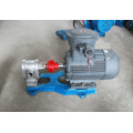 2CY stainless steel pump vegetable oil transfer gear pump high pressure pump